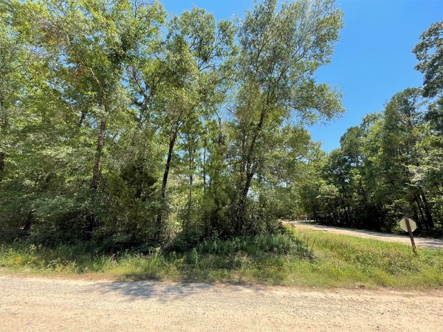 Lot 101 Ithica, Livingston, TX 77351