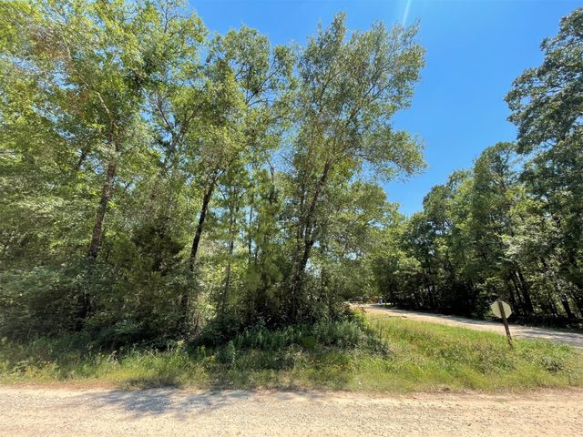 Lot 101 Ithica, Livingston, TX 77351