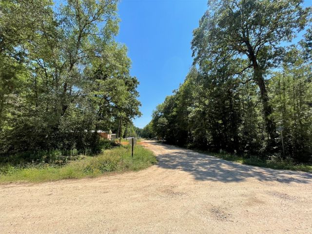 Lot 101 Ithica, Livingston, TX 77351