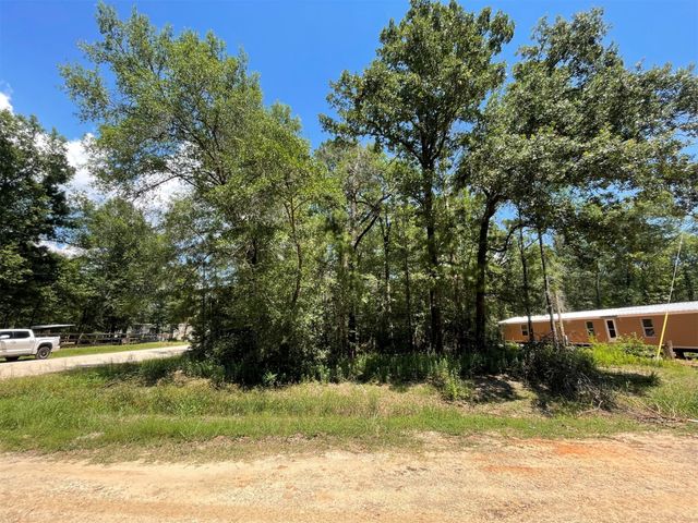 Lot 101 Ithica, Livingston, TX 77351