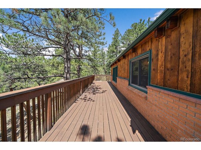168 Juniper Ln, Bailey, CO 80421