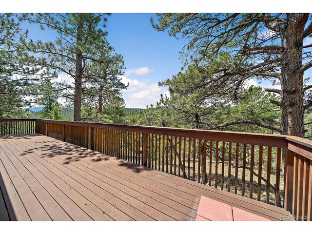 168 Juniper Ln, Bailey, CO 80421