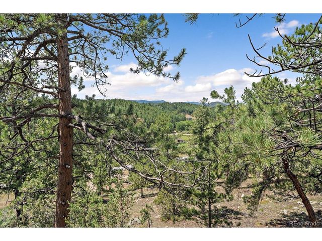 168 Juniper Ln, Bailey, CO 80421