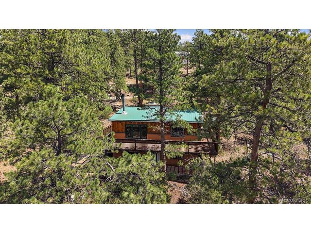 168 Juniper Ln, Bailey, CO 80421