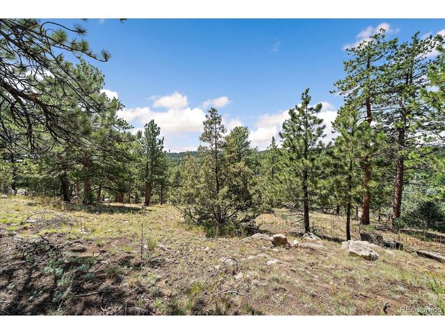 168 Juniper Ln, Bailey, CO 80421
