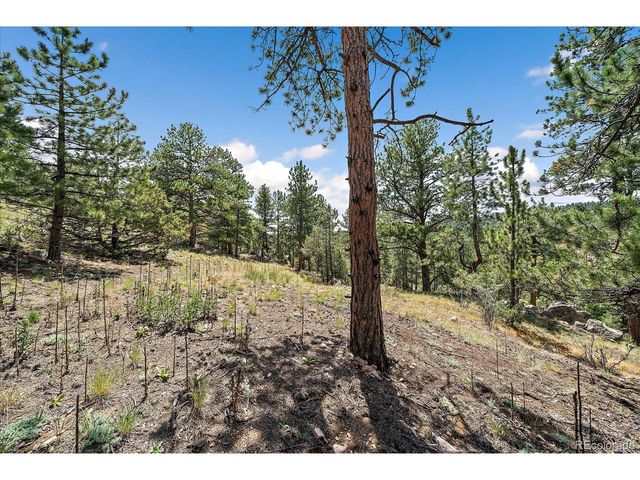 168 Juniper Ln, Bailey, CO 80421