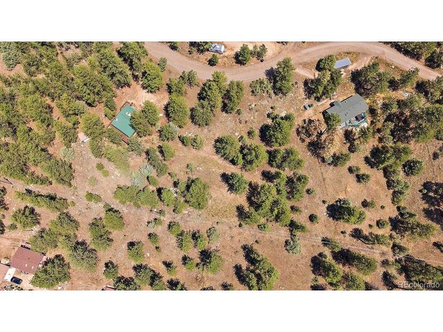 168 Juniper Ln, Bailey, CO 80421