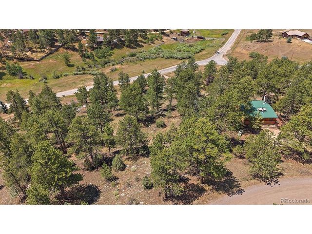 168 Juniper Ln, Bailey, CO 80421