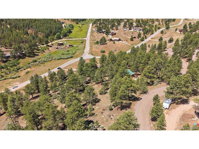 168 Juniper Ln, Bailey, CO 80421