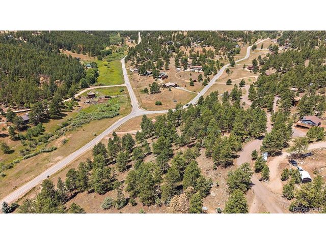 168 Juniper Ln, Bailey, CO 80421