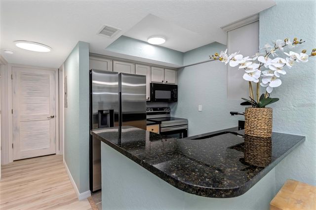 718 LYNDHURST STREET 904, Dunedin, FL 34698