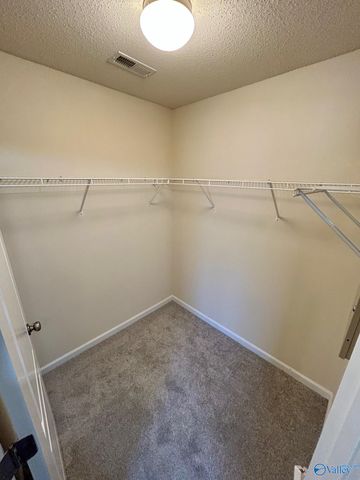 210 Shadow Cove Drive SW, Huntsville, AL 35824