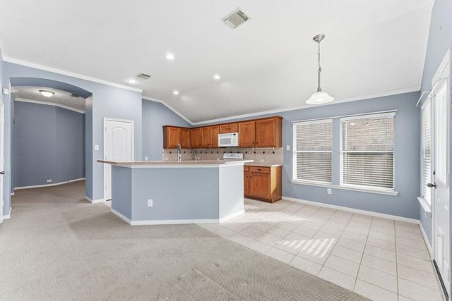 18815 Cluster Oaks Drive, Magnolia, TX 77355