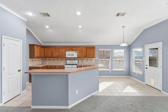 18815 Cluster Oaks Drive, Magnolia, TX 77355