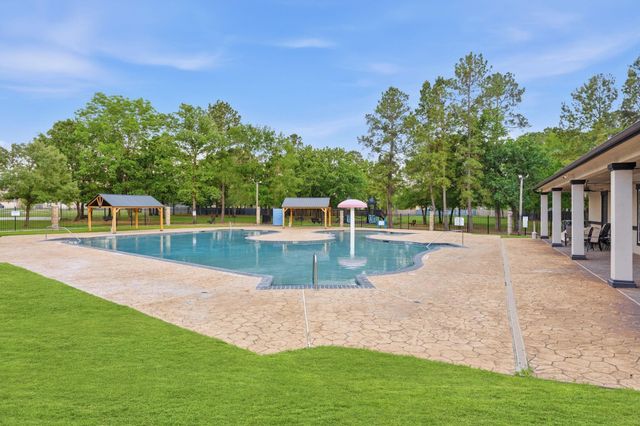 18815 Cluster Oaks Drive, Magnolia, TX 77355