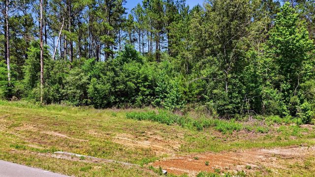 15388 Forest Grove Drive, Willis, TX 77378