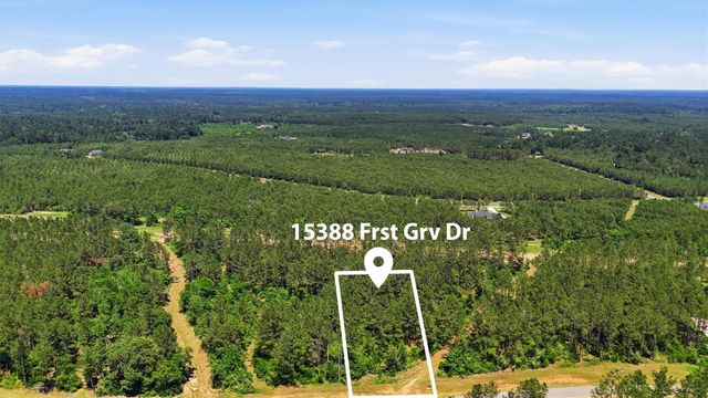 15388 Forest Grove Drive, Willis, TX 77378