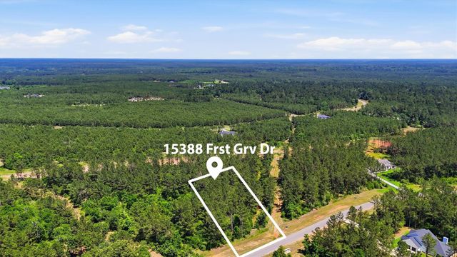 15388 Forest Grove Drive, Willis, TX 77378