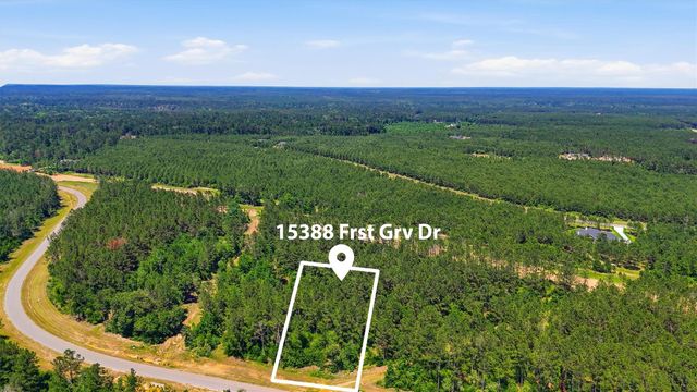 15388 Forest Grove Drive, Willis, TX 77378