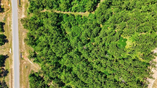 15388 Forest Grove Drive, Willis, TX 77378