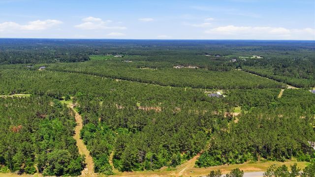 15388 Forest Grove Drive, Willis, TX 77378