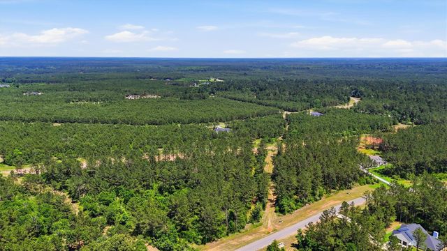 15388 Forest Grove Drive, Willis, TX 77378