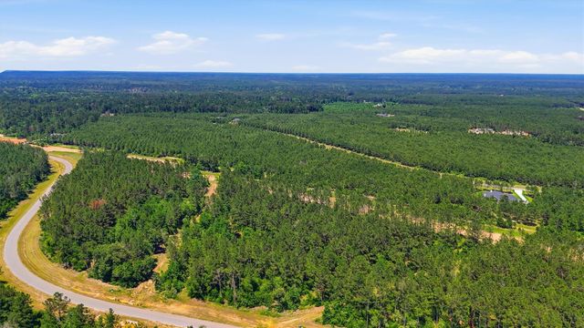 15388 Forest Grove Drive, Willis, TX 77378