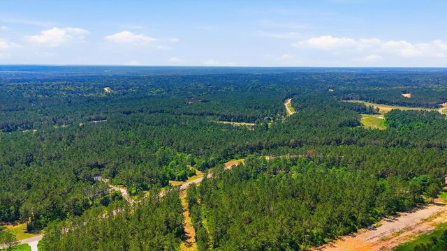 15388 Forest Grove Drive, Willis, TX 77378