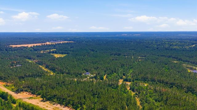 15388 Forest Grove Drive, Willis, TX 77378