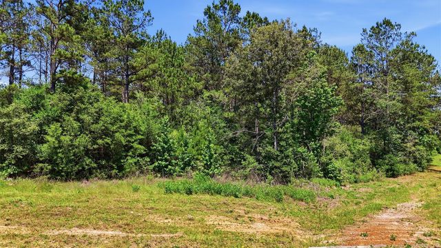 15388 Forest Grove Drive, Willis, TX 77378
