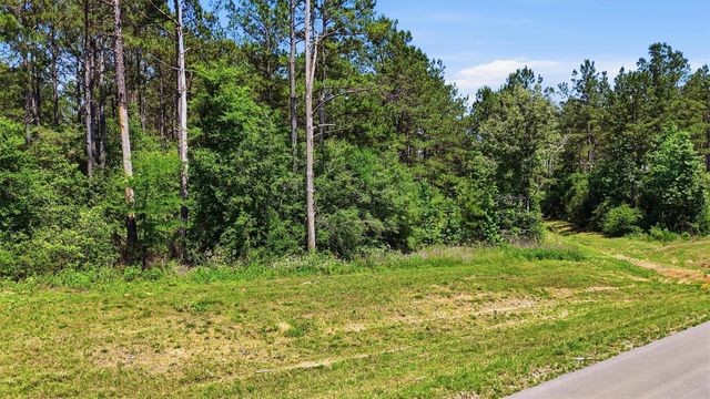 15388 Forest Grove Drive, Willis, TX 77378