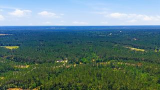 15388 Forest Grove Drive, Willis, TX 77378