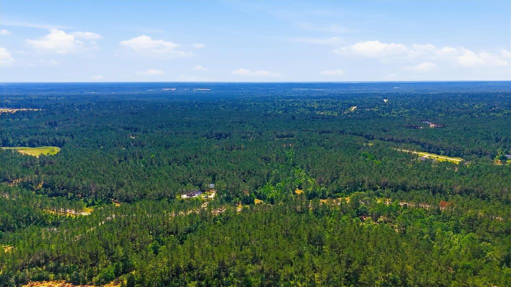 15388 Forest Grove Drive, Willis, TX 77378