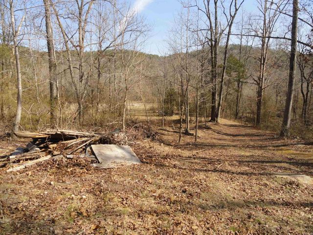 4473 Rumley Road, Dennard, AR 72629