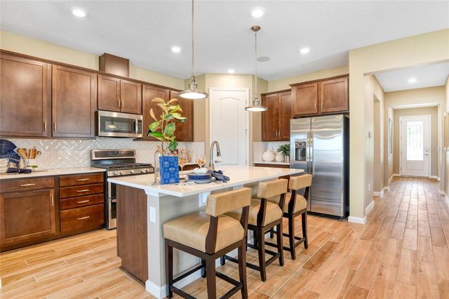 1003 CLOUD RIDGE COURT, Mount Dora, FL 32757
