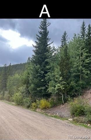 000 Nebraska Drive, Idaho Springs, CO 80452