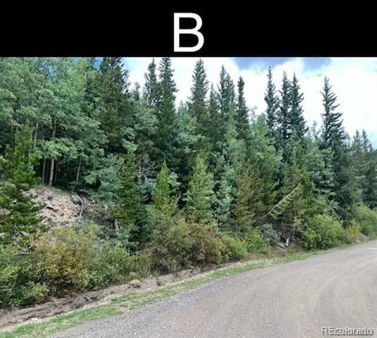000 Nebraska Drive, Idaho Springs, CO 80452