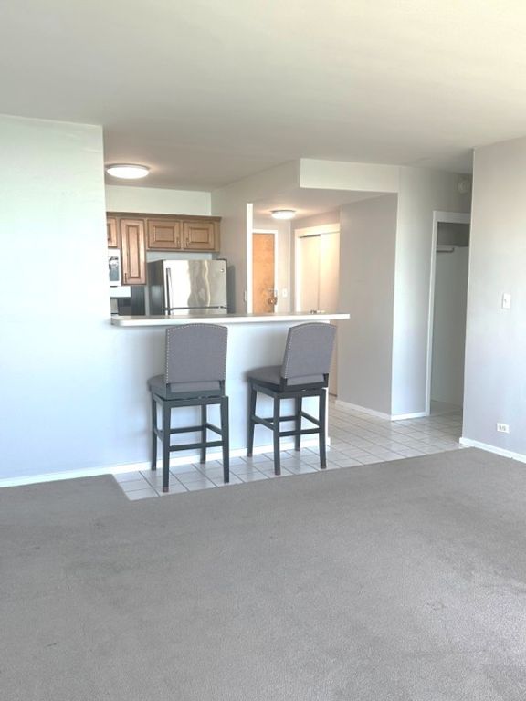1150 N Lake Shore Drive 8B, Chicago, IL 60611 — photo 3
