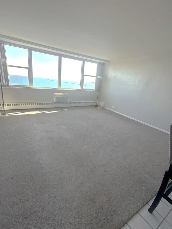 1150 N Lake Shore Drive 8B, Chicago, IL 60611 — photo 4