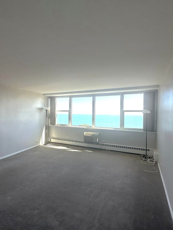 1150 N Lake Shore Drive 8B, Chicago, IL 60611 — photo 5