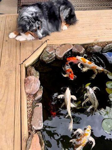 720 Bridget Way, Hurst, TX 76054