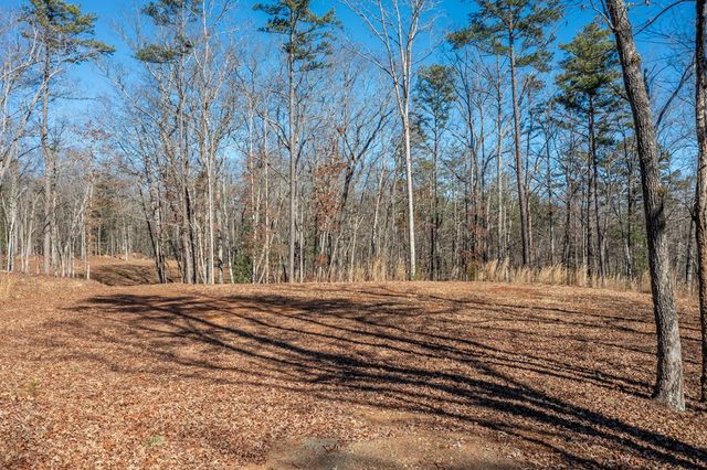 4011 Murphy Hwy, Mineral Bluff, GA 30559