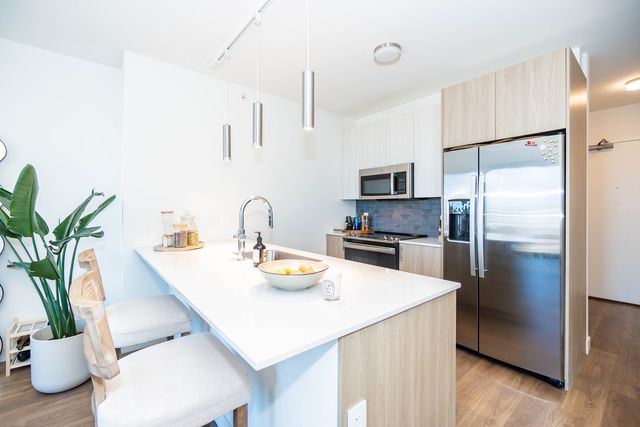 350 N Canal Street 2409, Chicago, IL 60606