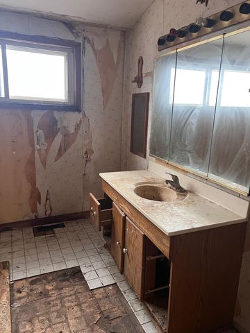 314 N Main Street, Perry, MI 48872