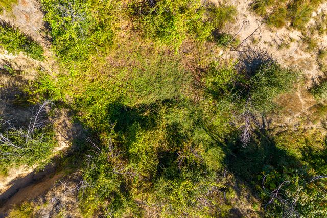 116 Acres 041-300-024, Ono, CA 96047