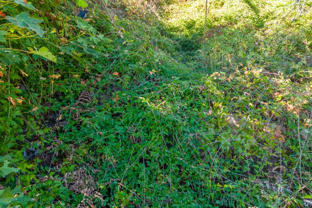 116 Acres 041-300-024, Ono, CA 96047