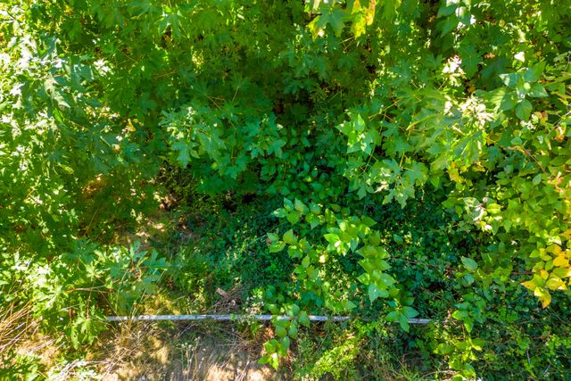 116 Acres 041-300-024, Ono, CA 96047