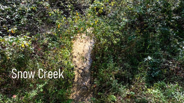 W10753 Hannon Road, Black River Falls, WI 54615