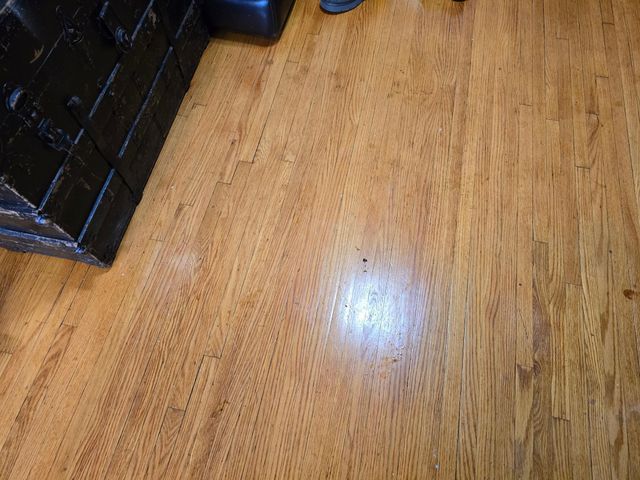 258 Maria Avenue, Saint Paul, MN 55106