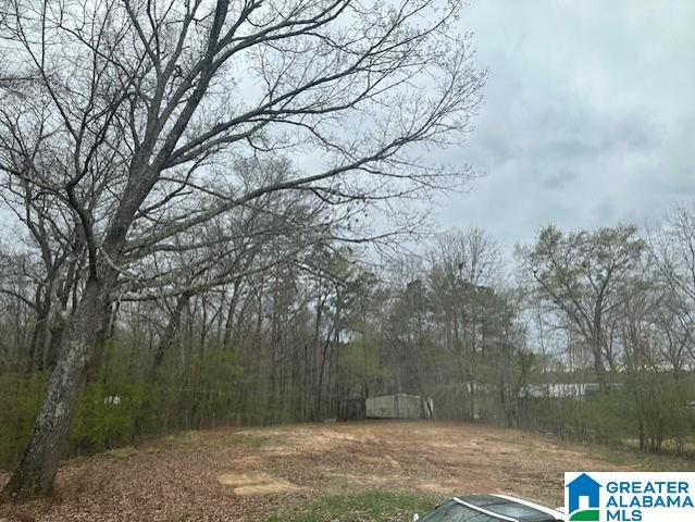 11086 HICKMAN CHAPEL ROAD, West Blocton, AL 35184